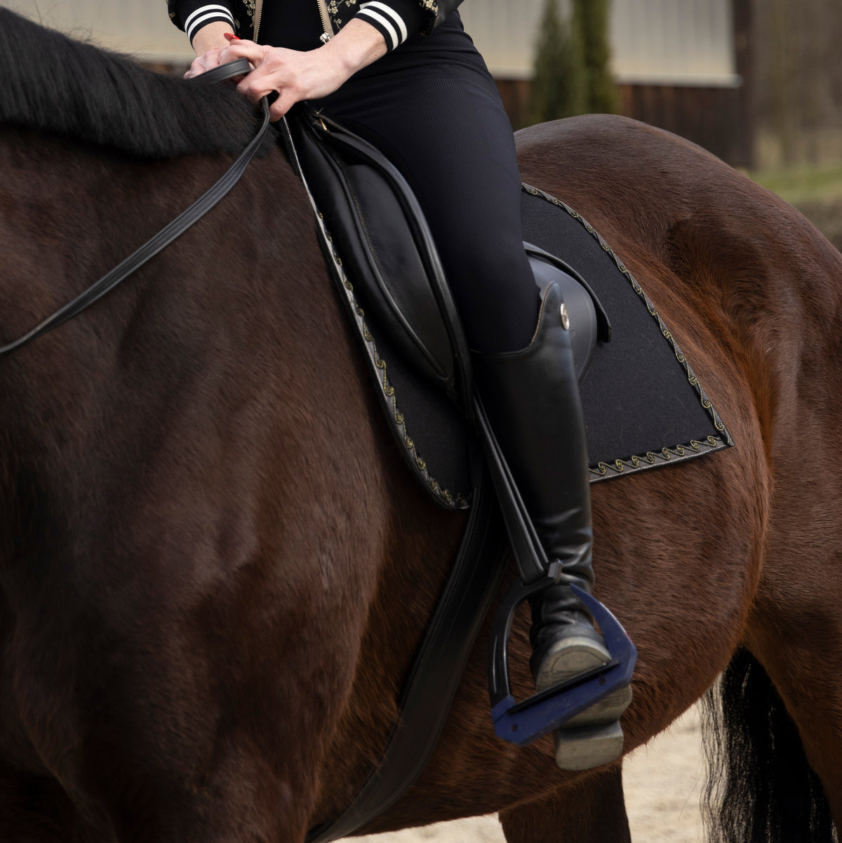 Schabracke "What A Pleasure" – Farbe "Black And All Black"